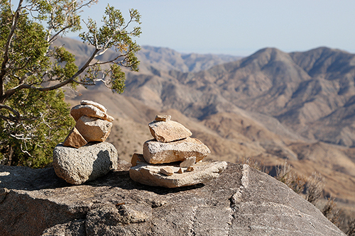 im Joshuatree Nationalpark